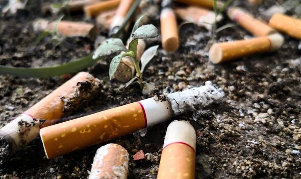 "Gyan-Pragya" demands an immediate ban on cigarette filters and vaporizers.
