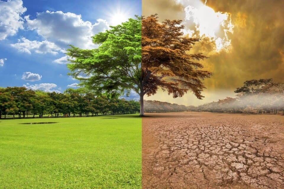 Global Warming