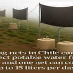 Drinking water is being collected by creating fog traps in the Atacama Desert