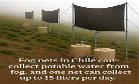 Drinking water is being collected by creating fog traps in the Atacama Desert