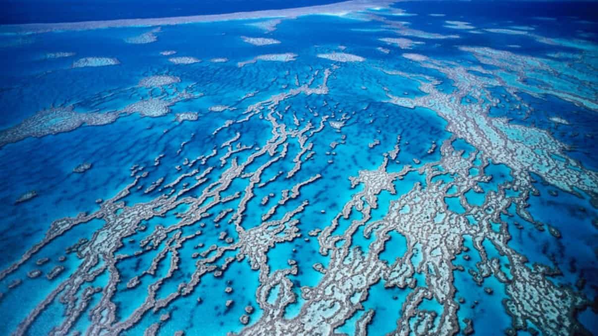 The devastating effects of climate change are visible across our oceans and land. © Holger Liu