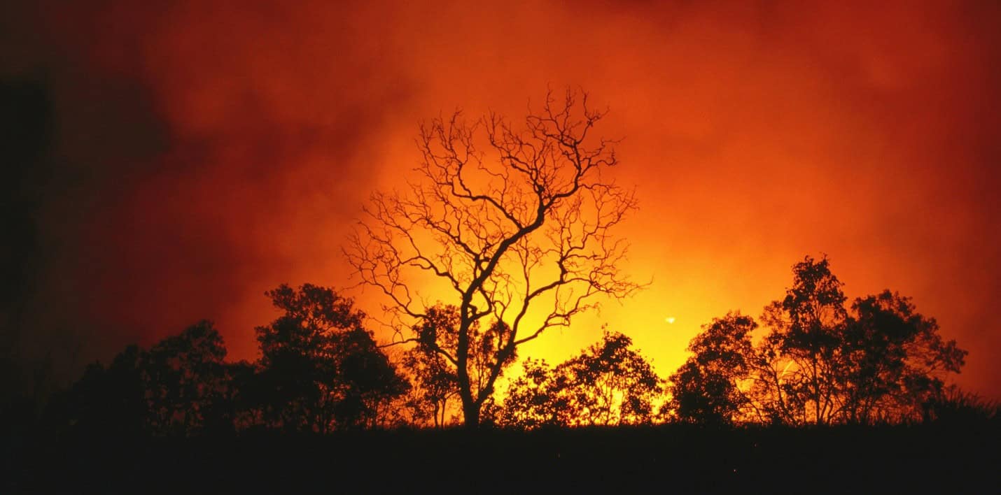 Congress is expressing concern about the potential for hurricanes, wildfires, and floods caused by climate change. © Holger