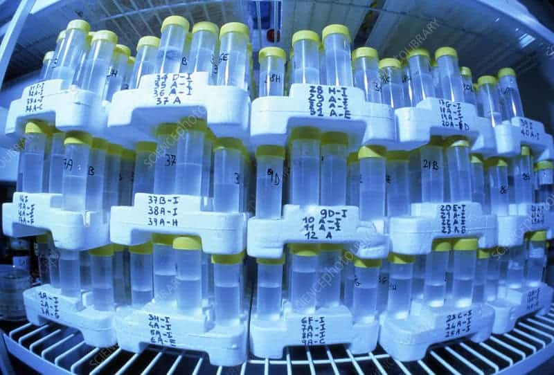 gene bank: tubes containing all human genes