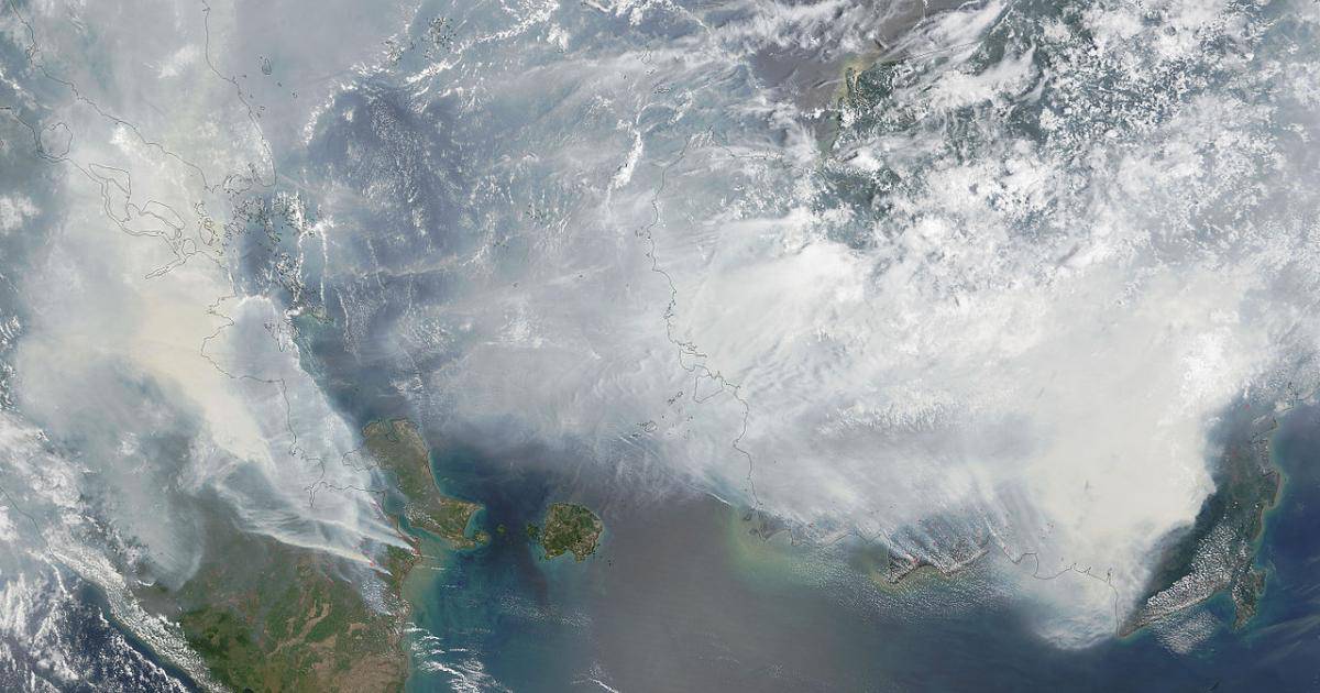 Antarctic Ocean Weakness, Global Carbon Sink Capacity Sees Unexpected Decline,Antarctic Ocean Weakness,Changing Role of Global Carbon Sink