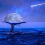 blue whales and other endangered species at risk