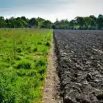 growing environmental footprint and data center water crisis
