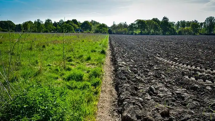 growing environmental footprint and data center water crisis