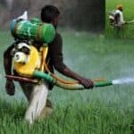 pesticide use in bangladesh
