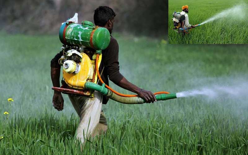 pesticide use in bangladesh