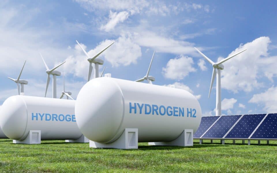the green hydrogen economys