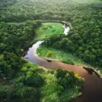 A new worldwide movement aims to safeguard the rights of nature