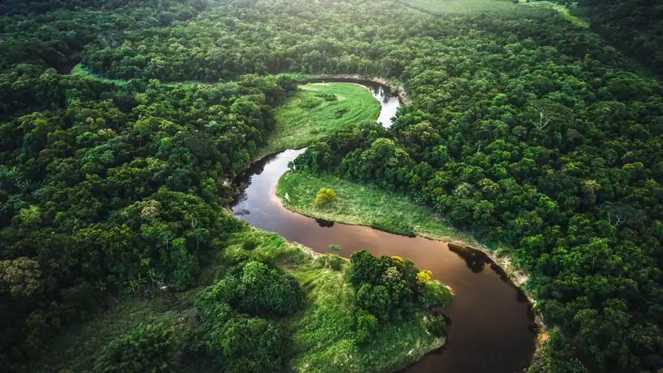 A new worldwide movement aims to safeguard the rights of nature