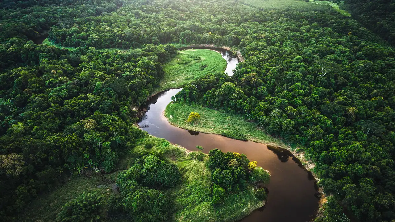 A new worldwide movement aims to safeguard the rights of nature