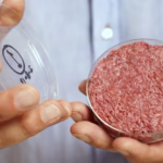 air protein, lab grown meat, new food sources for 2026