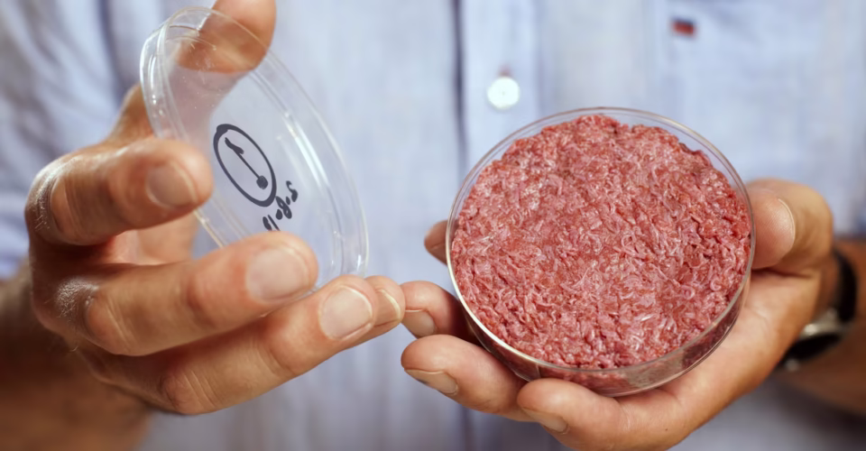air protein, lab grown meat, new food sources for 2026