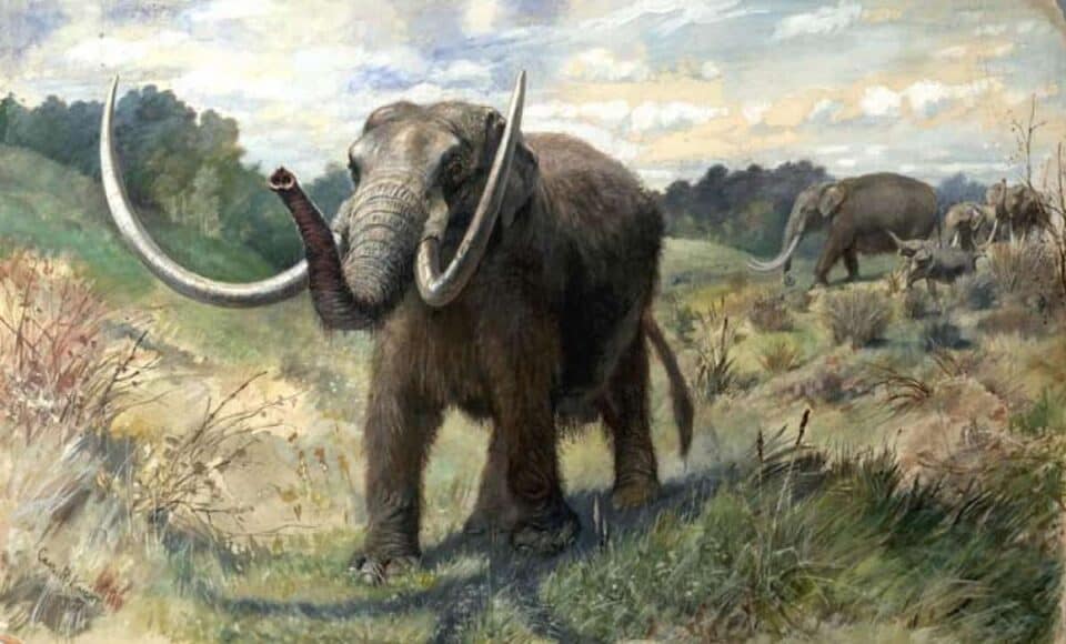 De-Extinction, Saving the North Pole with Mammoths