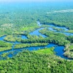 Nature Rights Law World Environment New Movement