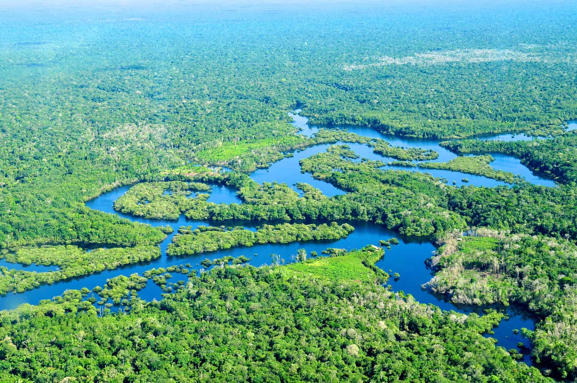 Nature Rights Law World Environment New Movement