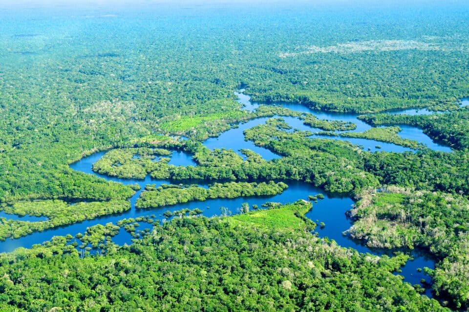 Nature Rights Law World Environment New Movement
