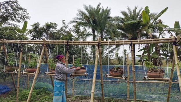 Learning to Live with the Tide: A Blueprint for Climate Resilience