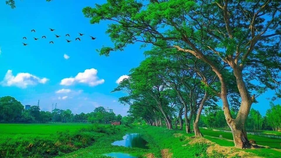2025 — The Year Bangladesh Led the World