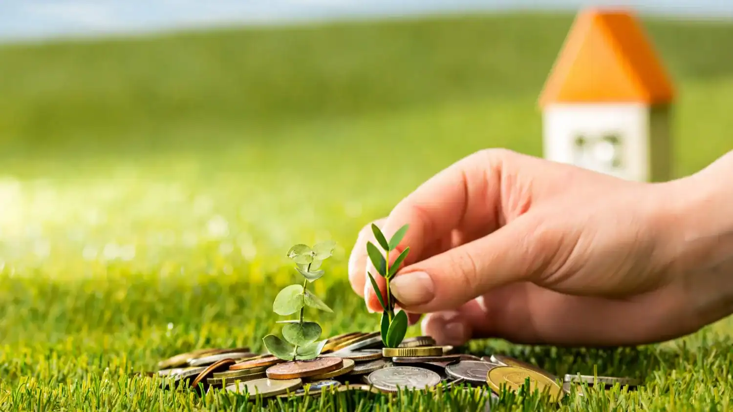 The Green Gamble, Bangladeshs Sustainable Shared Value Economy