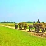Bangladesh on the Path from Climate Hunter to Climate Leader