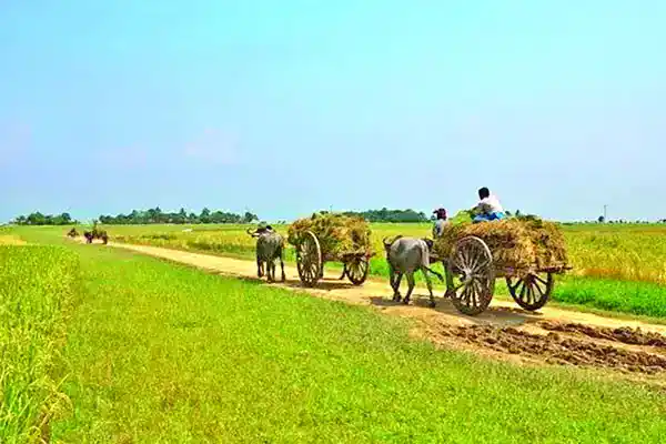 Bangladesh on the Path from Climate Hunter to Climate Leader
