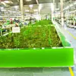 Green transformation of the garment sector