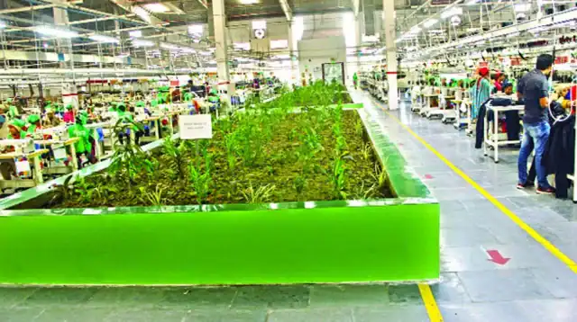 Green transformation of the garment sector