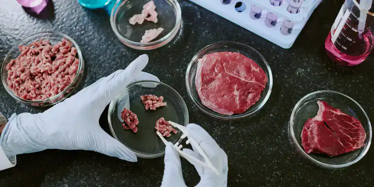 Lab-Grown Meat: The Global Change of Meat Without Animals