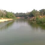 AI to protect Asia’s largest natural fish breeding ground