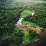 Amazon Rainforest 2026: Organized Crime and an Environmental Tipping Point