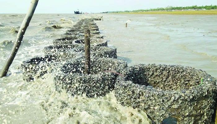Artificial Oyster Wall and Protection on Sitakunda Coast. Bangladesh