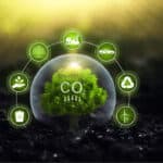 Carbon Economy: New Gold Rush to Make Money from the Wind