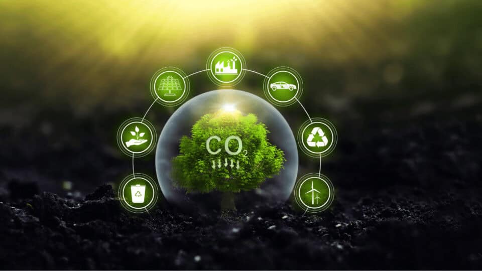 Carbon Economy: New Gold Rush to Make Money from the Wind