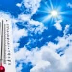 Dhaka’s, Heat Island, Impact , The Modern Miyawaki Model of Urban Afforestation for Temperature Control, Dhakas Heat Island Impact