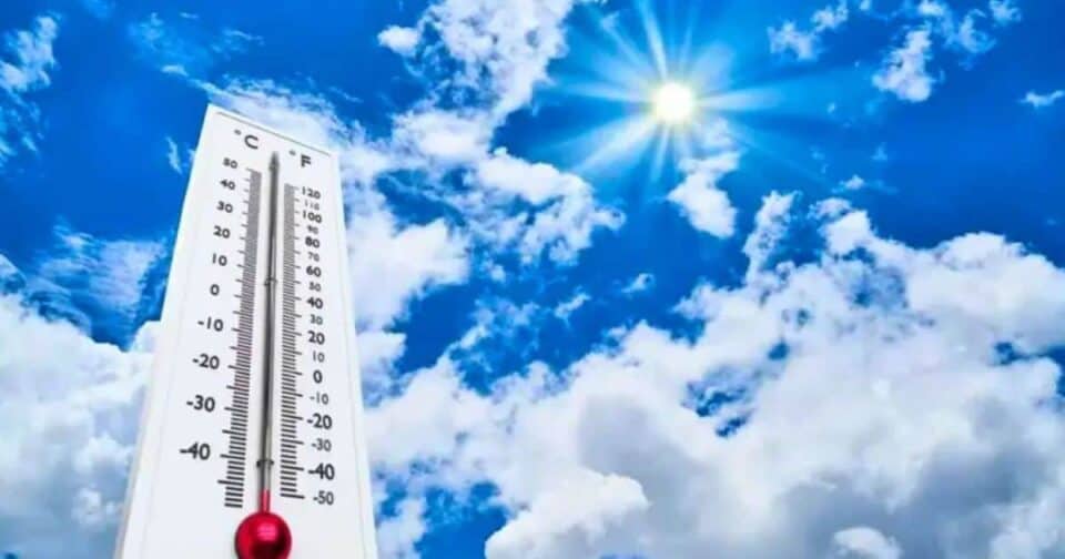 Dhaka’s, Heat Island, Impact , The Modern Miyawaki Model of Urban Afforestation for Temperature Control, Dhakas Heat Island Impact