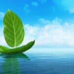 Green Maritime: Commercial voyage of hydrogen and ammonia‑powered cargo ships in 2026