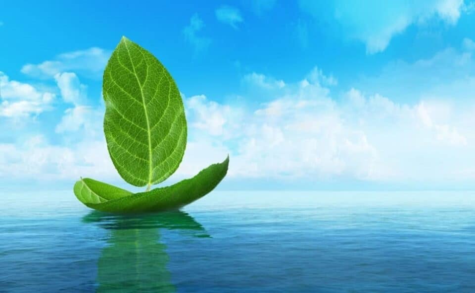 Green Maritime: Commercial voyage of hydrogen and ammonia‑powered cargo ships in 2026