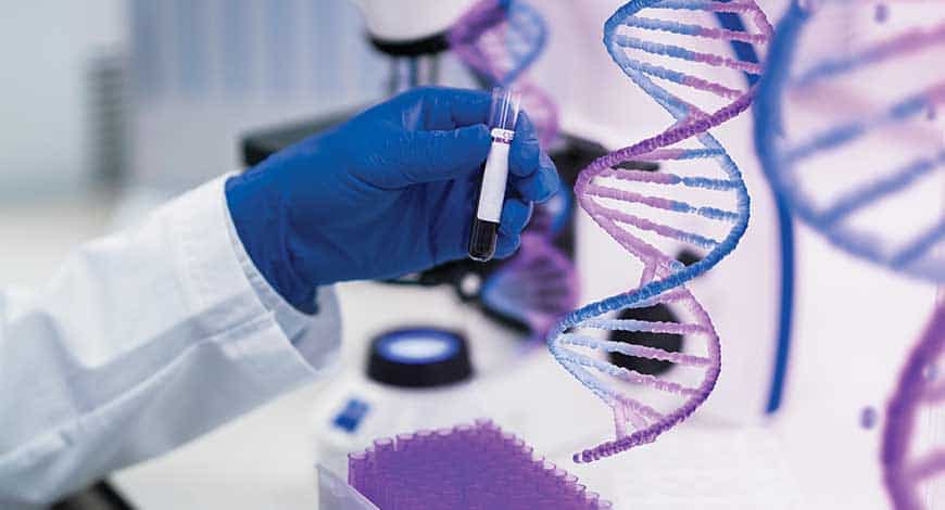 Breakthrough in fuel‑free energy storage: DNA‑inspired molecular technology set to challenge lithium batteries