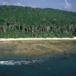 Bay of Bengal “Climate Refuge” and Vashan Char’s Sustainable Environmental Habitation Model