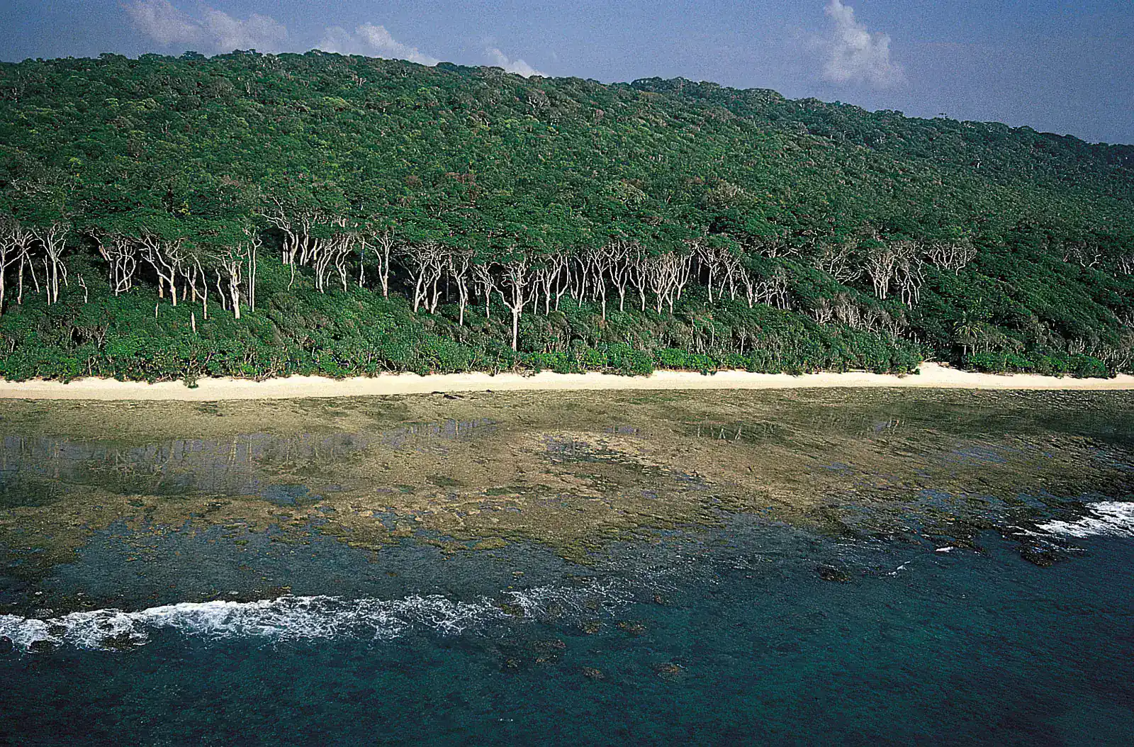 Bay of Bengal “Climate Refuge” and Vashan Char’s Sustainable Environmental Habitation Model