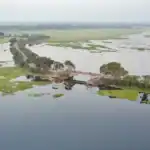 Cholonbeel Conservation Movement: 2026 Master Plan and Restoration of Northern Bangladesh’s Biodiversity