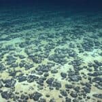 Discovery of “Dark Oxygen” in the Pacific: A New Scientific Perspective on the Origins of Life