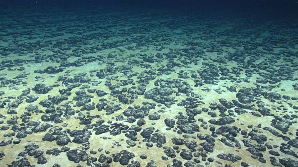 Discovery of “Dark Oxygen” in the Pacific: A New Scientific Perspective on the Origins of Life