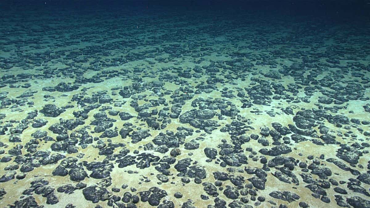 Discovery of “Dark Oxygen” in the Pacific: A New Scientific Perspective on the Origins of Life