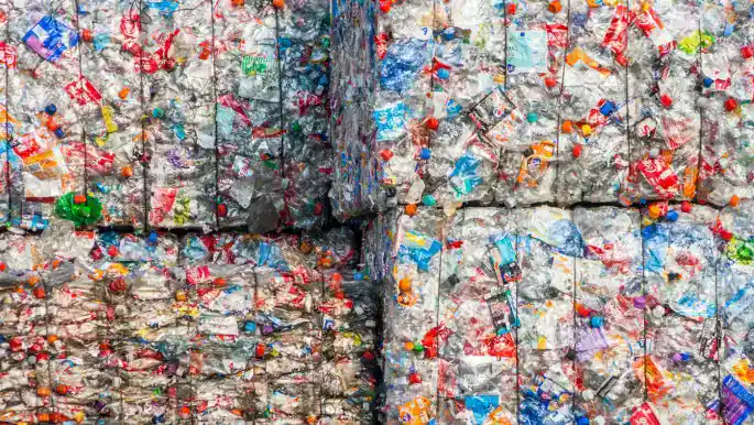 FAO 2026 Warning on Food Safety: Hidden Risks of Recycled Plastics