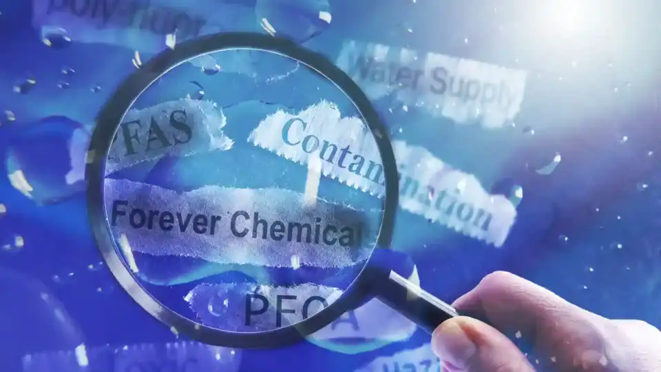 The Global Crisis of ‘Forever Chemicals’ (PFAS) in Rainwater: A New Threat to Human Health