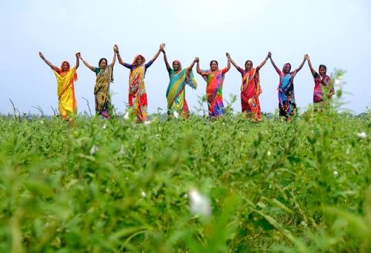 Responsibility Is Not Authority: A Vision for Women-Led Resilience on Bangladesh’s Coast